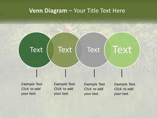 Dog Training PowerPoint Template