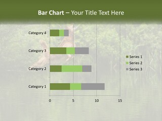 Dog Training PowerPoint Template