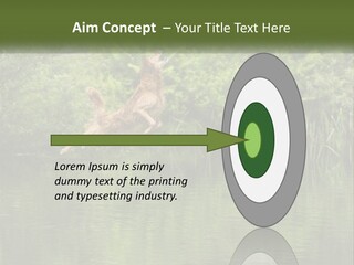 Dog Training PowerPoint Template
