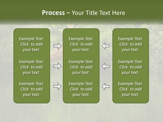 Dog Training PowerPoint Template