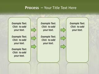 Dog Training PowerPoint Template