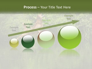 Dog Training PowerPoint Template