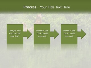 Dog Training PowerPoint Template