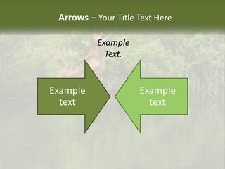 Dog Training PowerPoint Template