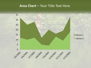 Dog Training PowerPoint Template