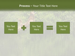 Dog Training PowerPoint Template