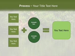 Dog Training PowerPoint Template