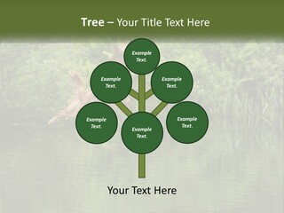 Dog Training PowerPoint Template