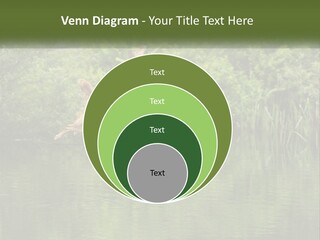 Dog Training PowerPoint Template