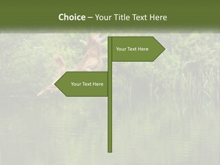 Dog Training PowerPoint Template