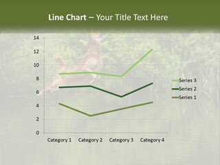 Dog Training PowerPoint Template