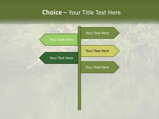 Dog Training PowerPoint Template