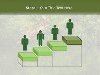 Dog Training PowerPoint Template