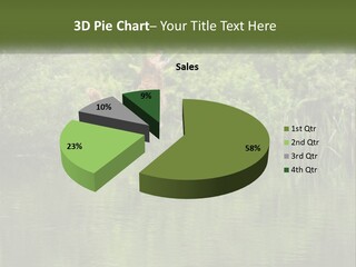 Dog Training PowerPoint Template