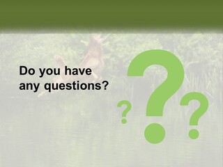 Dog Training PowerPoint Template