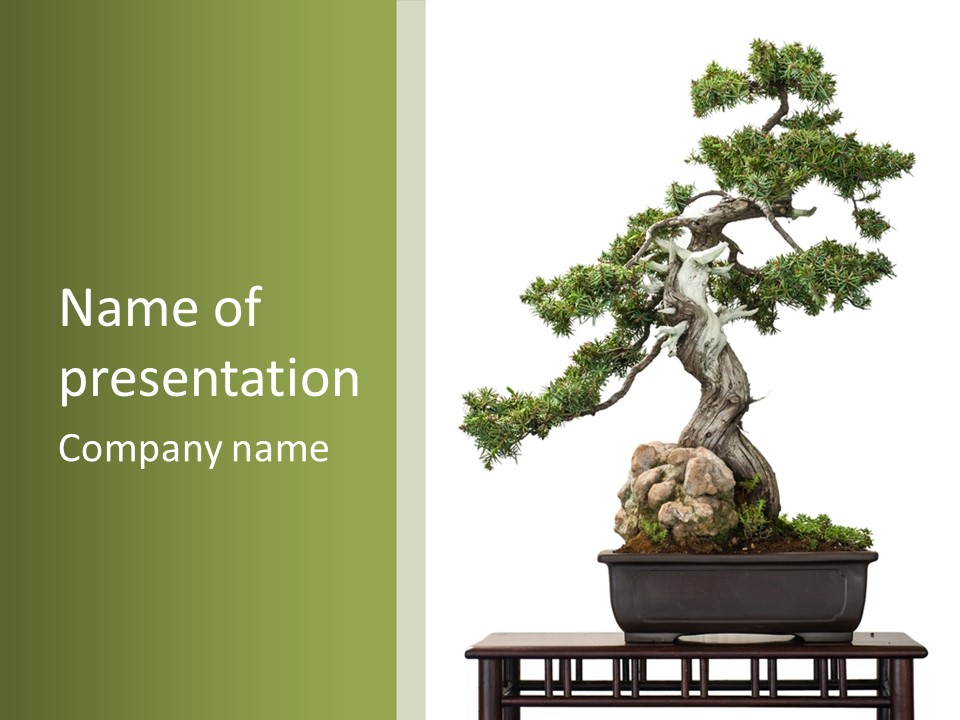 Bodhi Tree PowerPoint Template