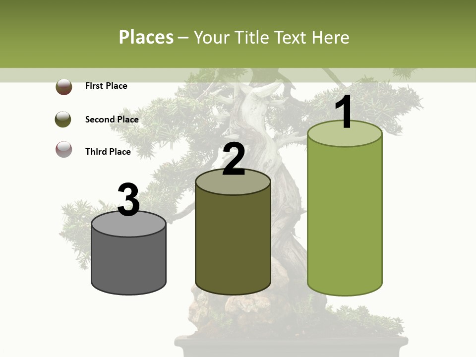 Bodhi Tree PowerPoint Template