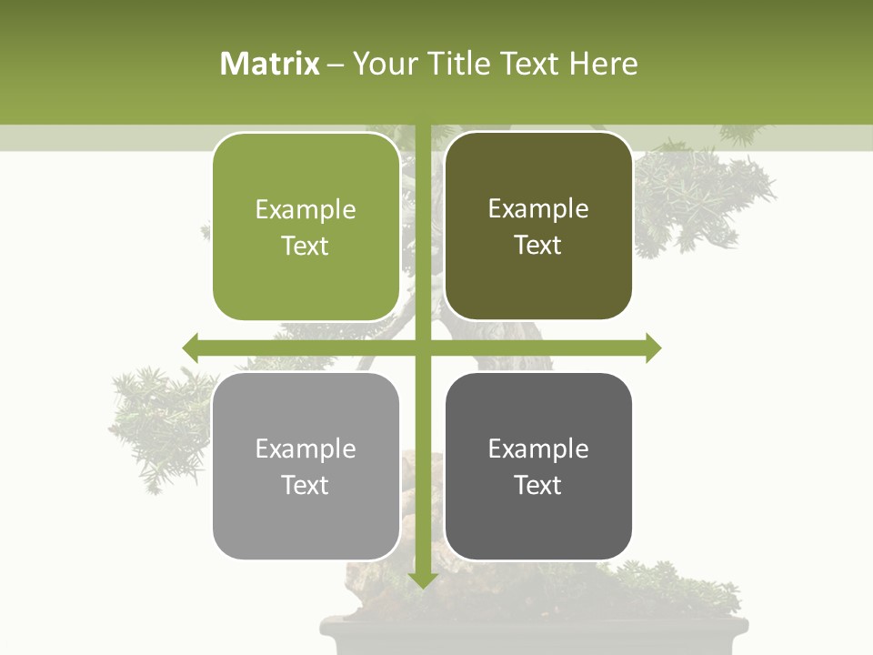 Bodhi Tree PowerPoint Template