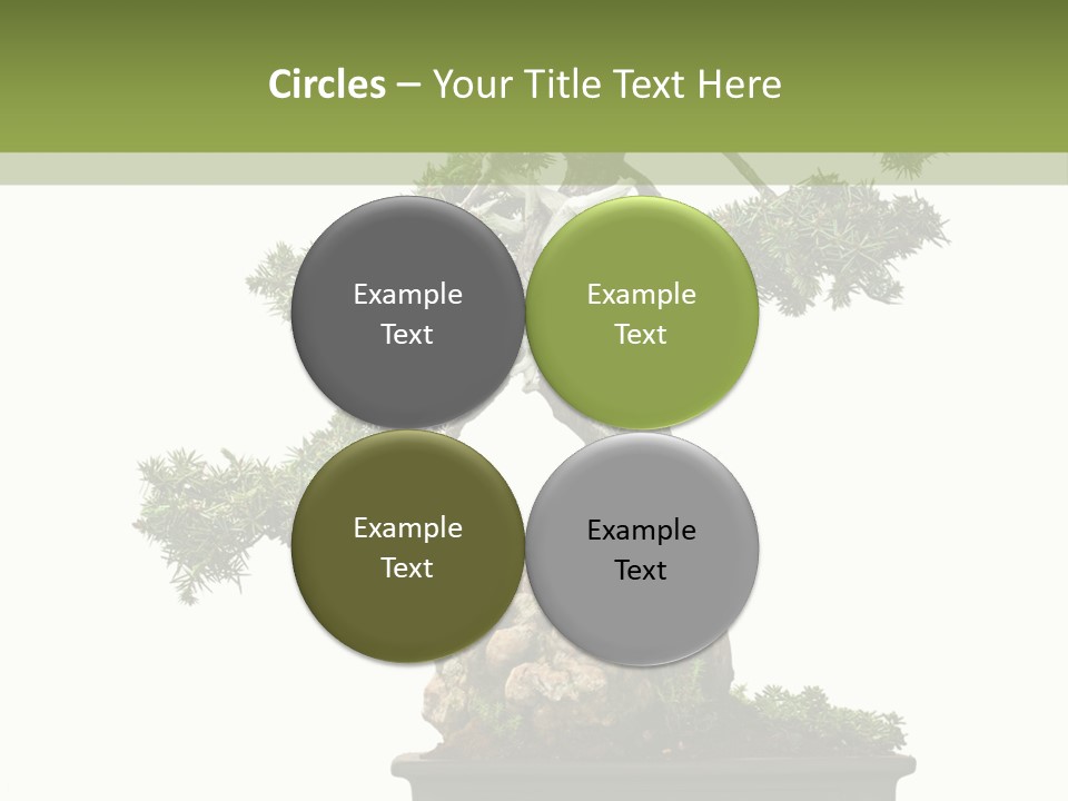 Bodhi Tree PowerPoint Template
