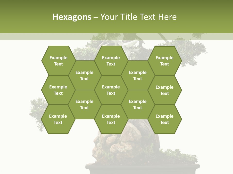 Bodhi Tree PowerPoint Template