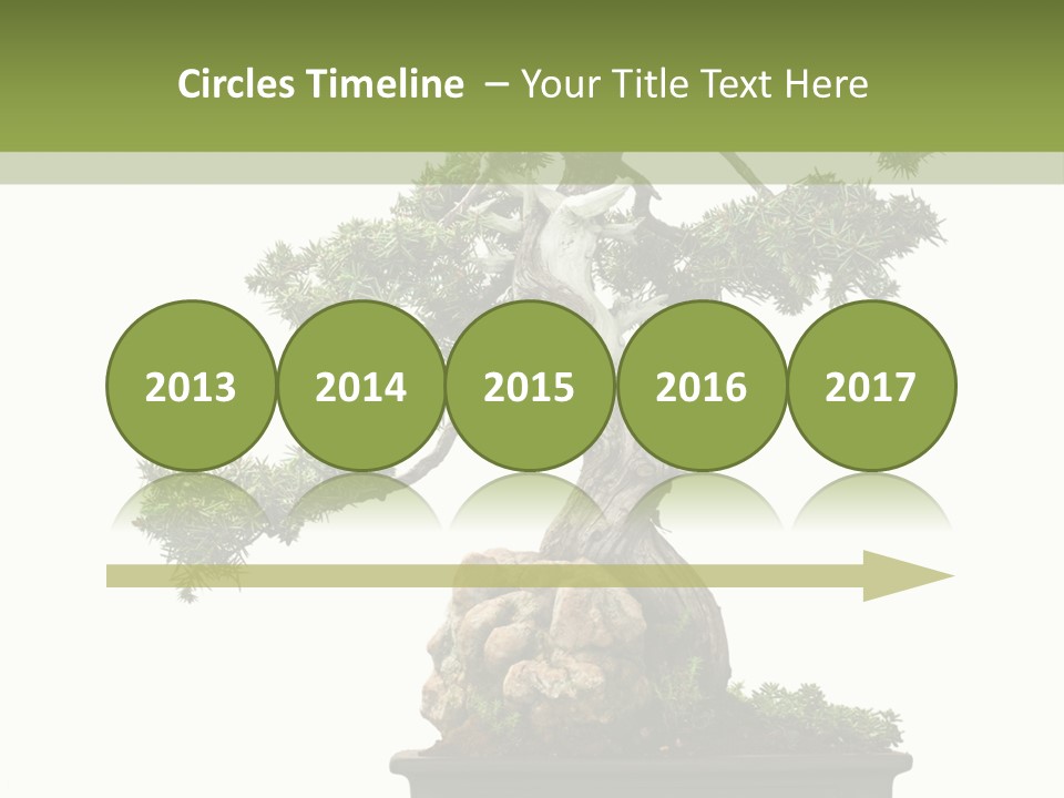 Bodhi Tree PowerPoint Template