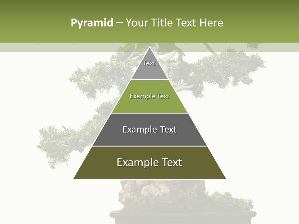 Bodhi Tree PowerPoint Template