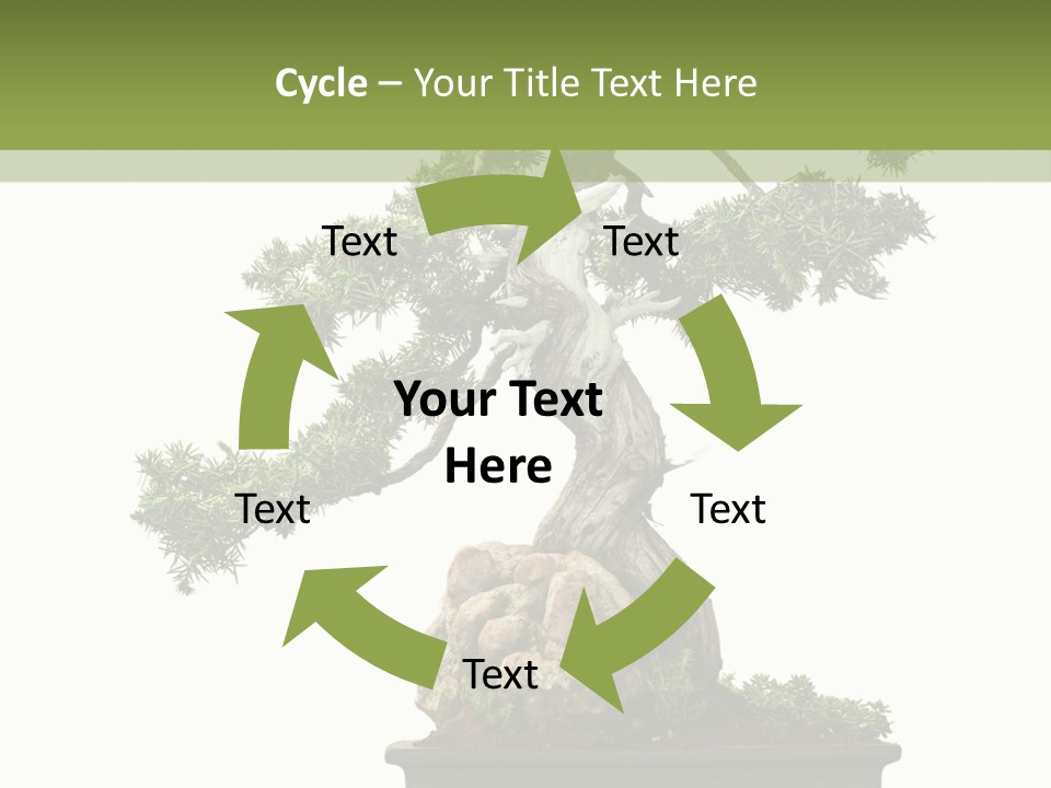 Bodhi Tree PowerPoint Template