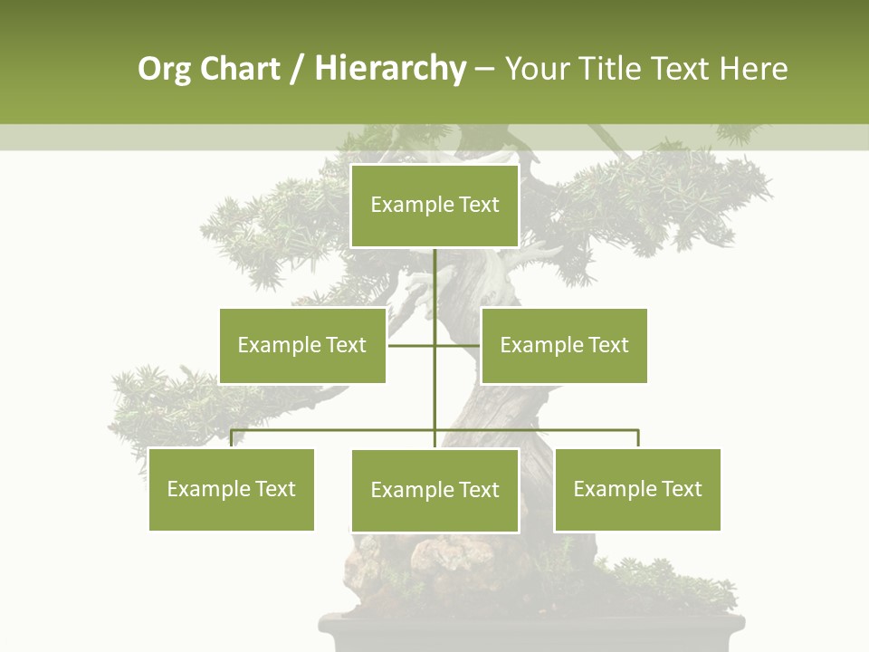 Bodhi Tree PowerPoint Template