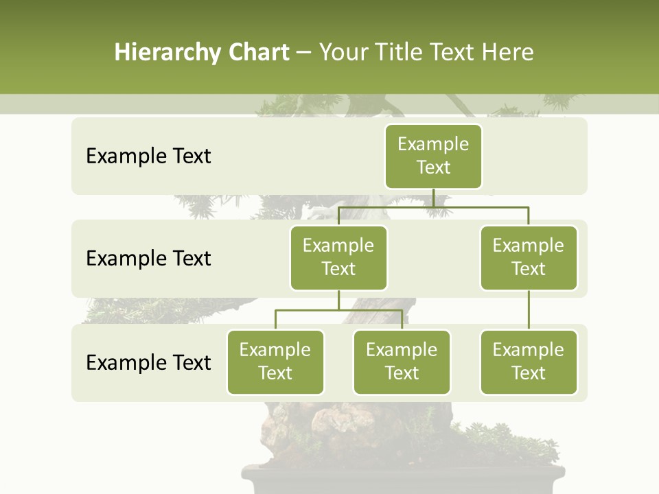 Bodhi Tree PowerPoint Template