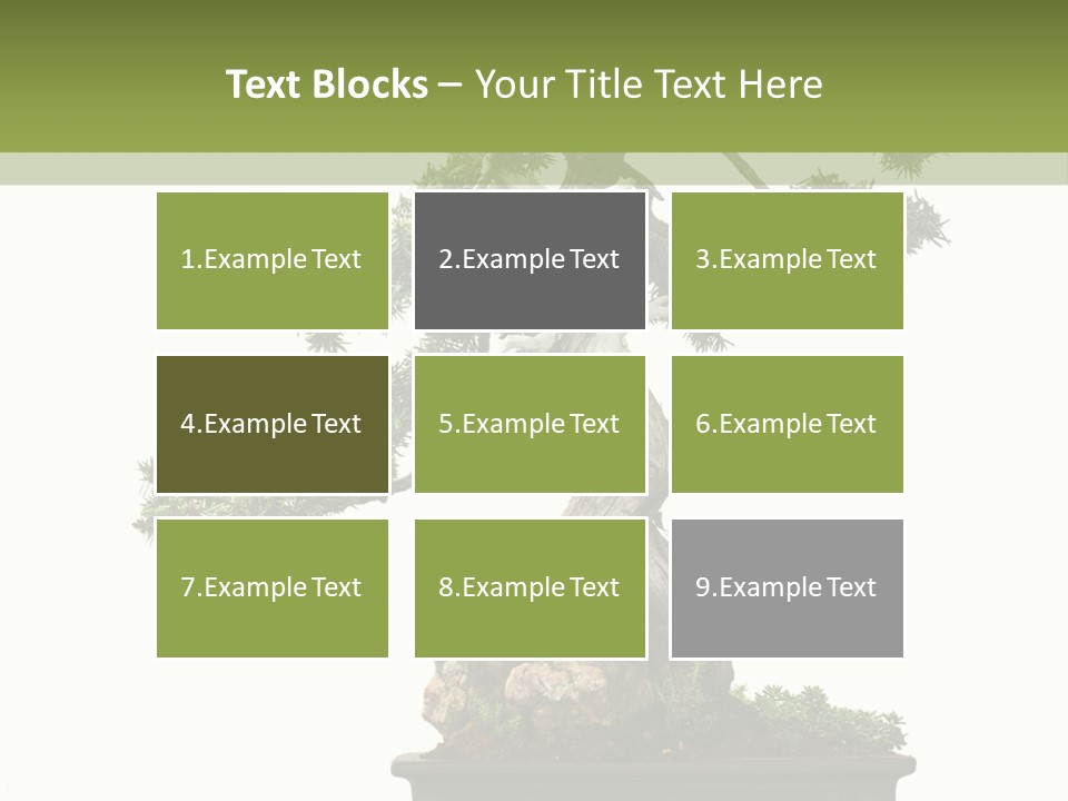 Bodhi Tree PowerPoint Template