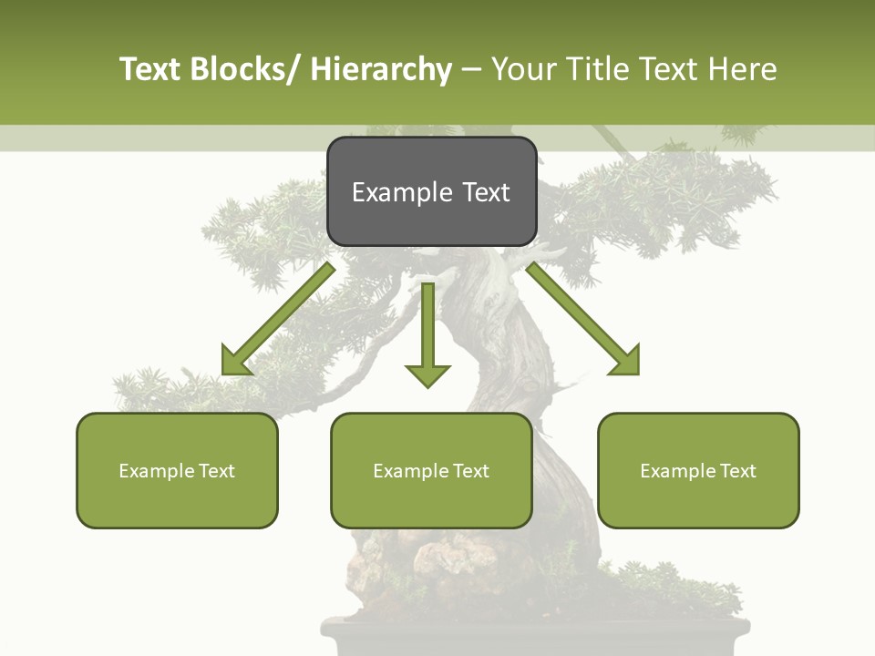 Bodhi Tree PowerPoint Template
