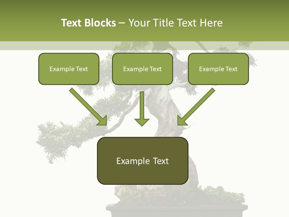 Bodhi Tree PowerPoint Template
