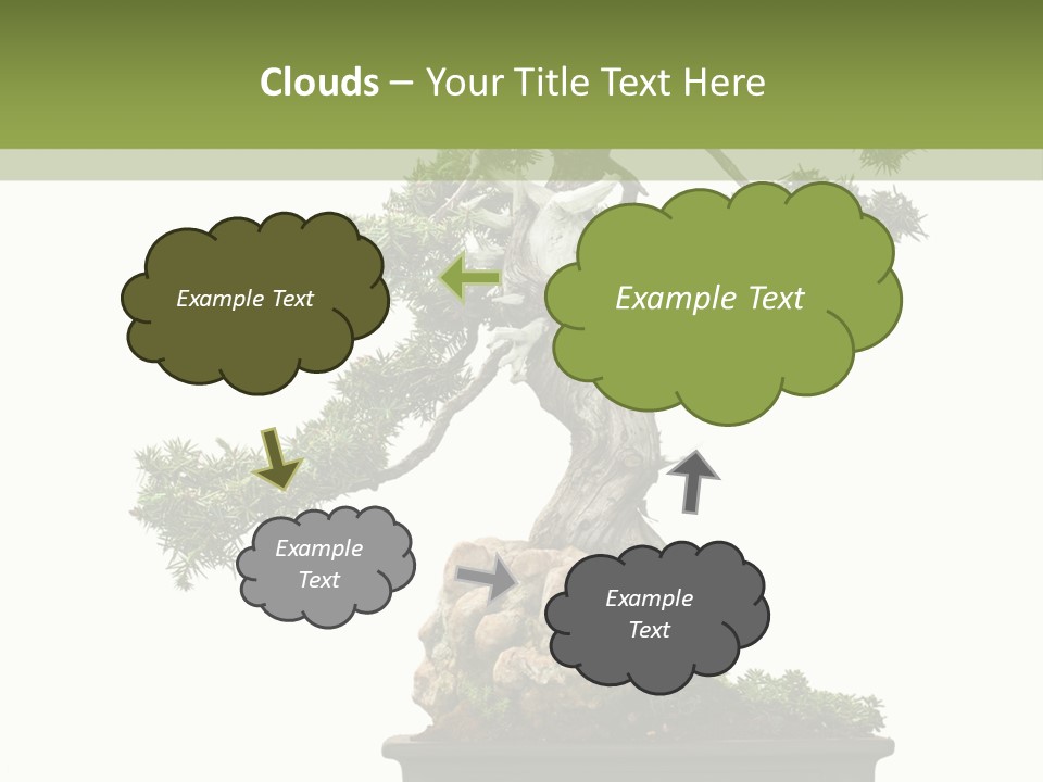 Bodhi Tree PowerPoint Template