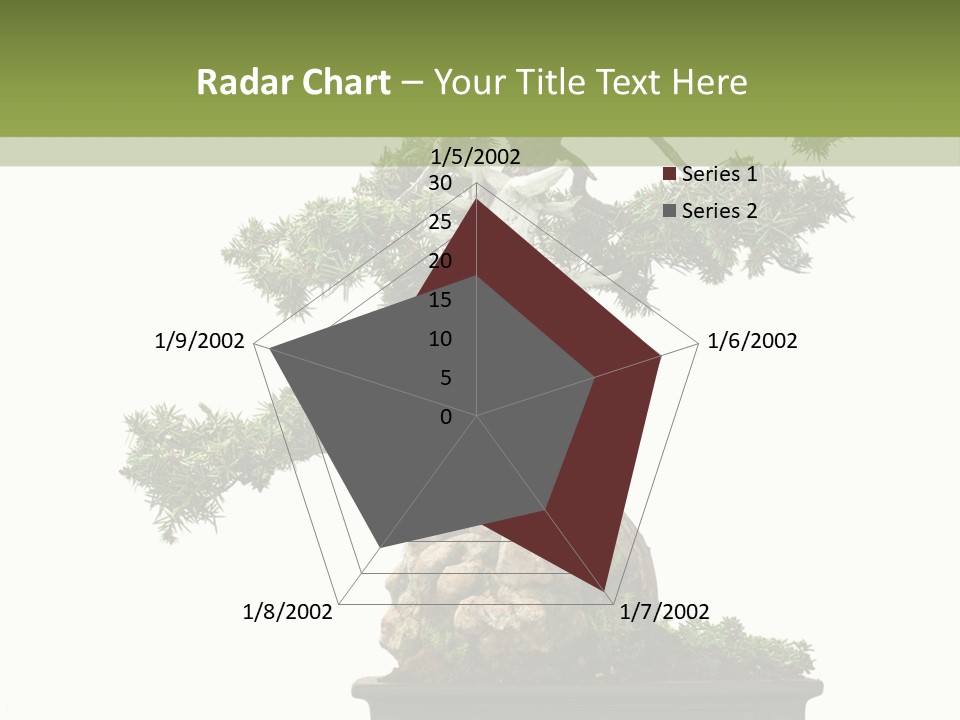 Bodhi Tree PowerPoint Template