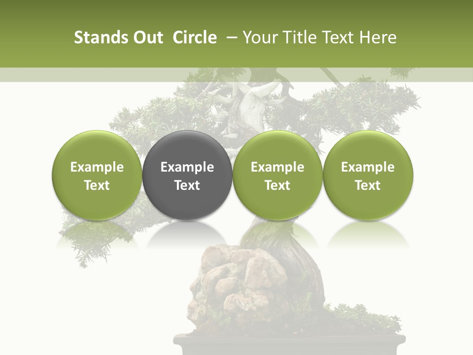 Bodhi Tree PowerPoint Template