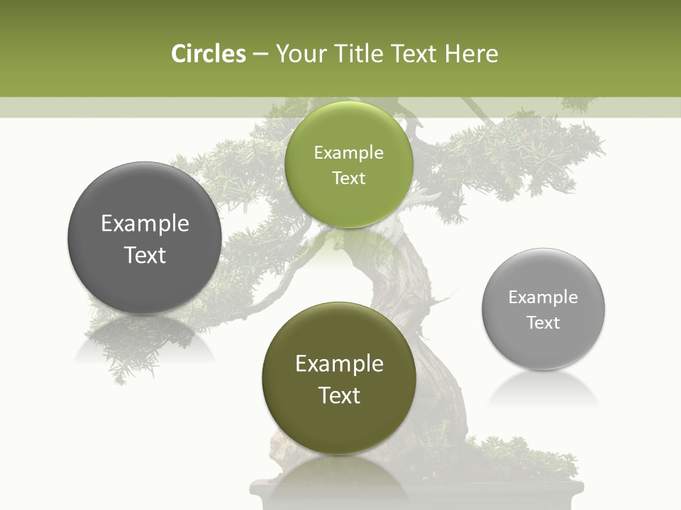 Bodhi Tree PowerPoint Template