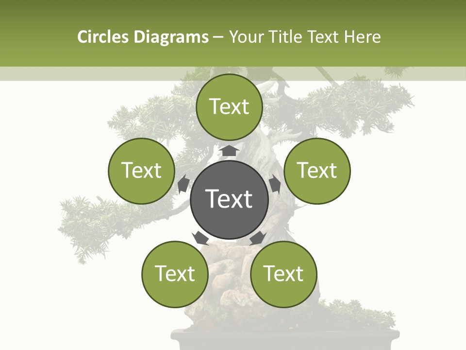 Bodhi Tree PowerPoint Template