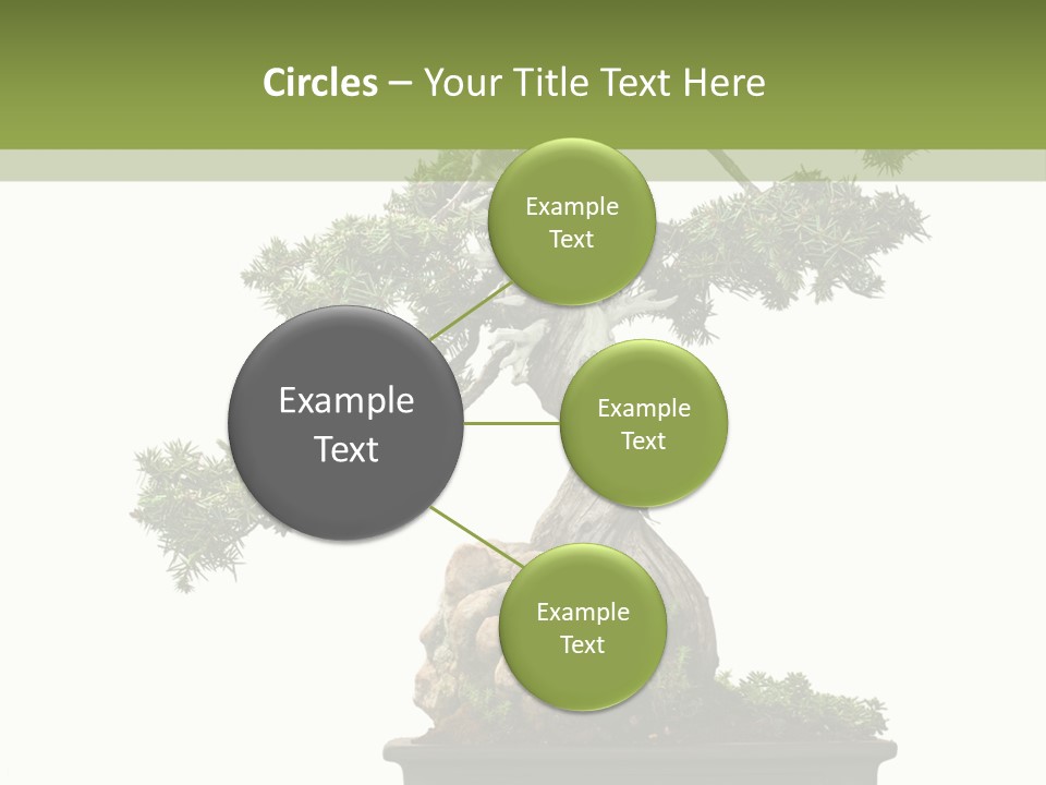 Bodhi Tree PowerPoint Template