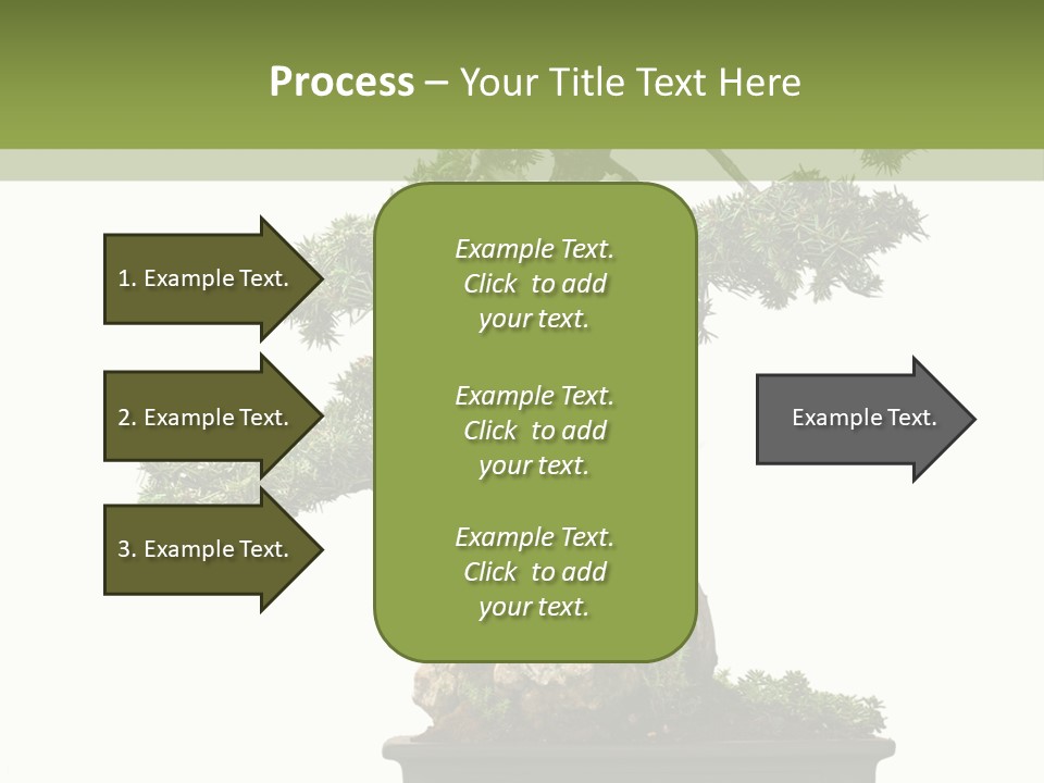 Bodhi Tree PowerPoint Template
