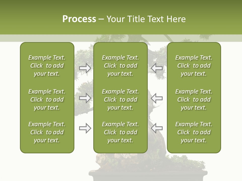 Bodhi Tree PowerPoint Template