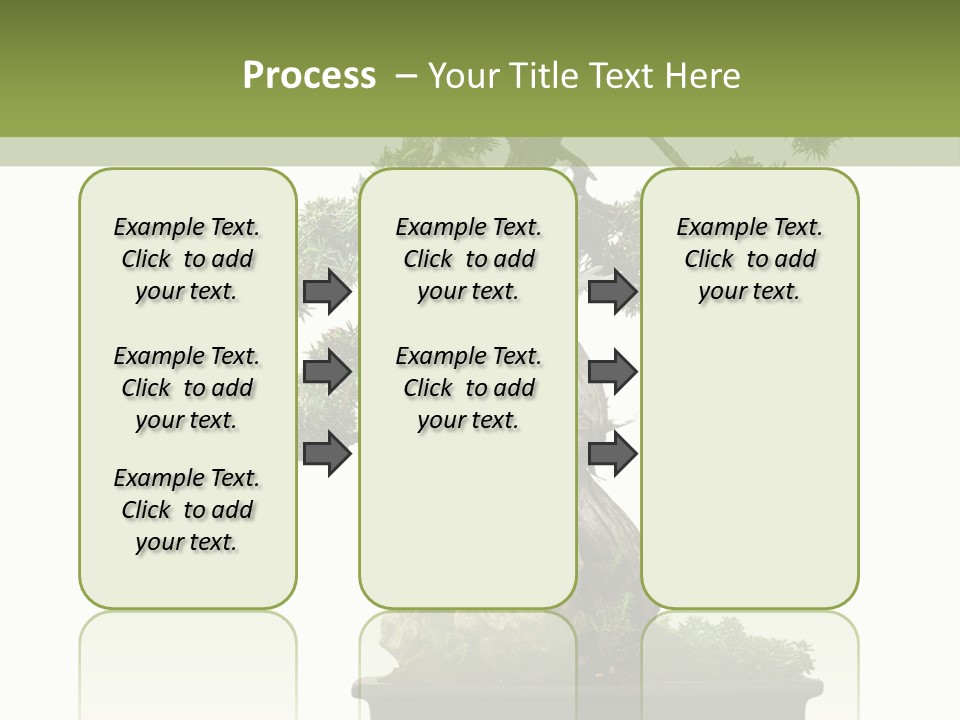 Bodhi Tree PowerPoint Template
