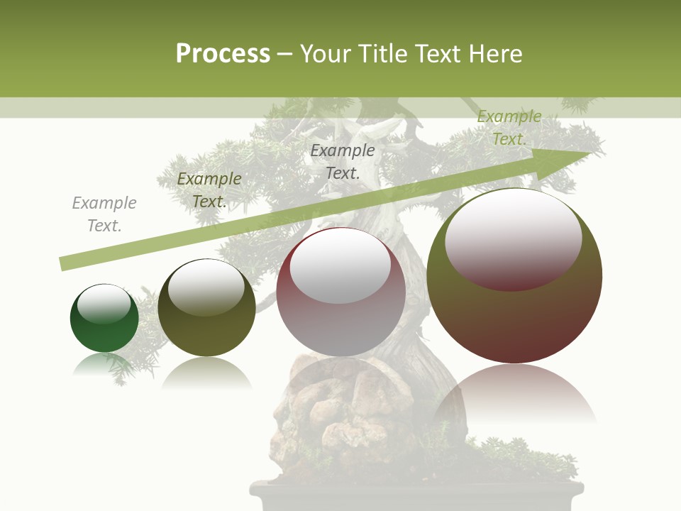 Bodhi Tree PowerPoint Template