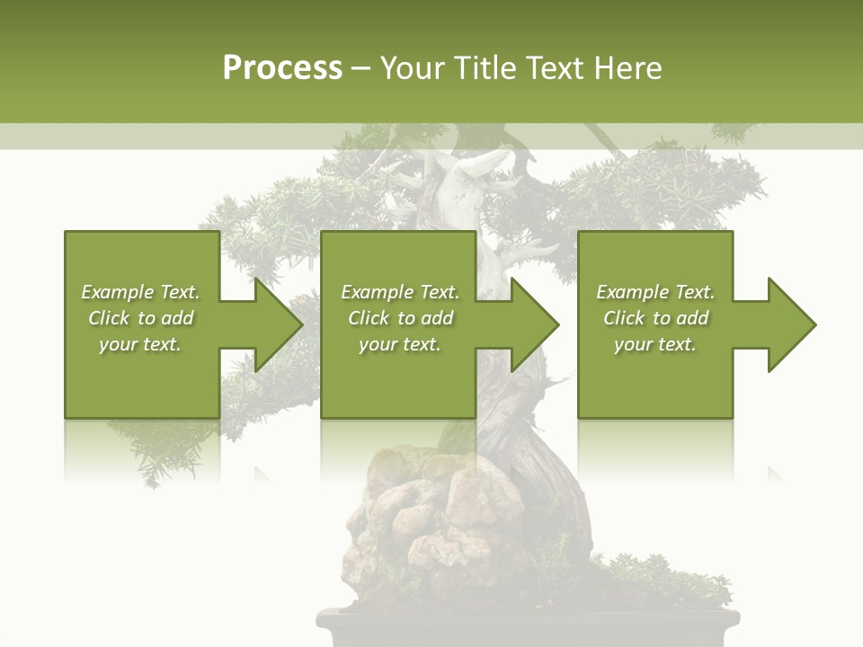 Bodhi Tree PowerPoint Template