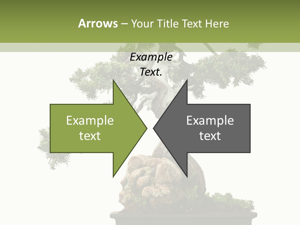 Bodhi Tree PowerPoint Template