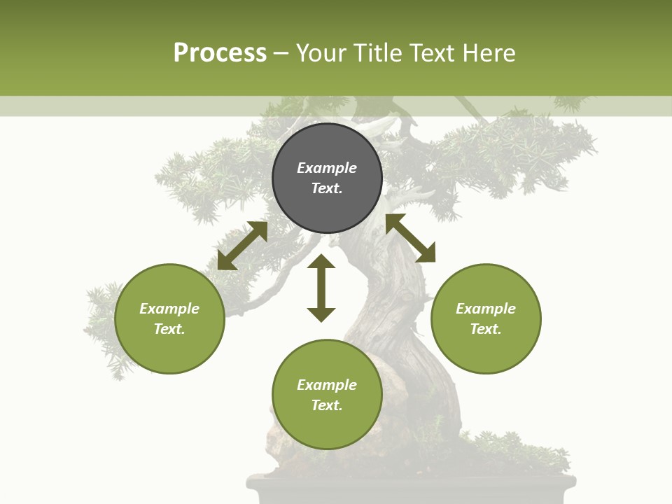 Bodhi Tree PowerPoint Template