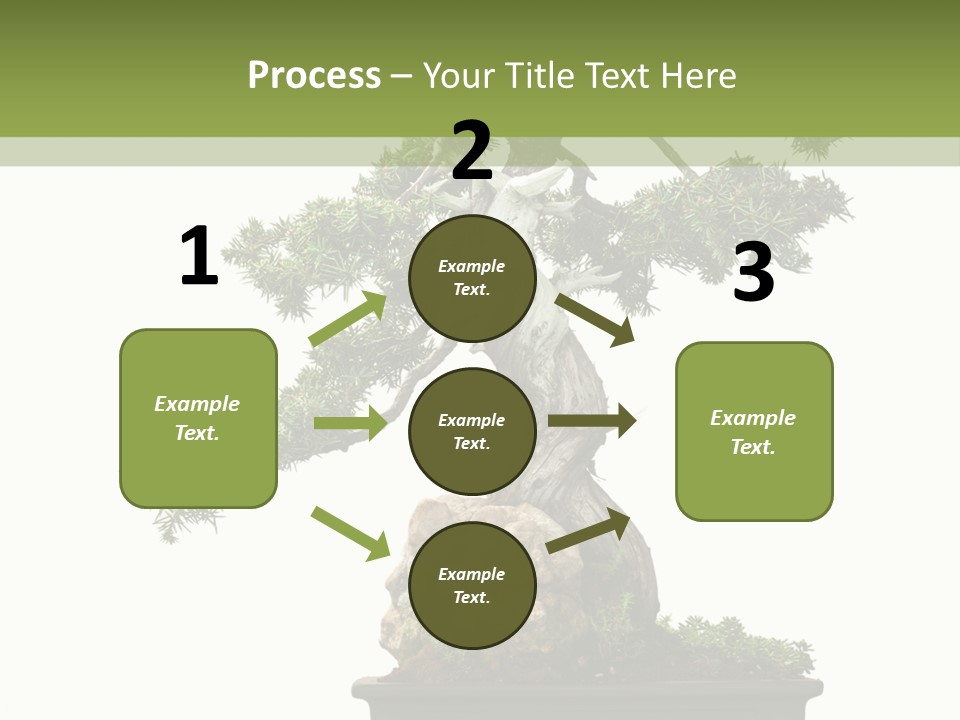 Bodhi Tree PowerPoint Template