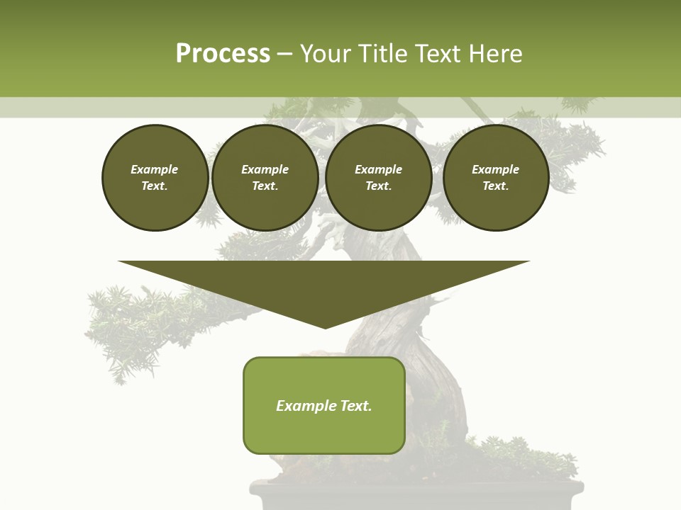Bodhi Tree PowerPoint Template