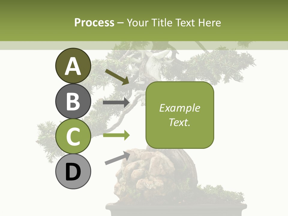 Bodhi Tree PowerPoint Template