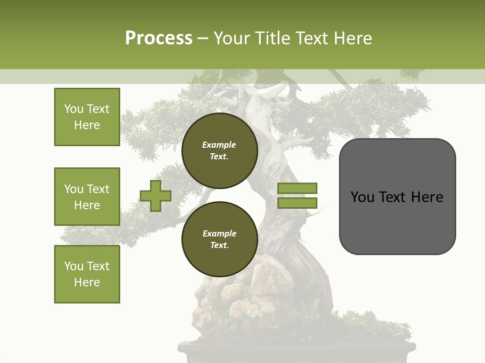 Bodhi Tree PowerPoint Template