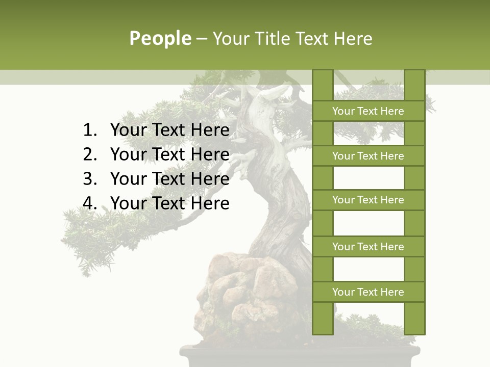 Bodhi Tree PowerPoint Template
